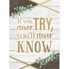 Eucalyptus If You Never Try Poster