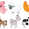 Farm Friends Accents
