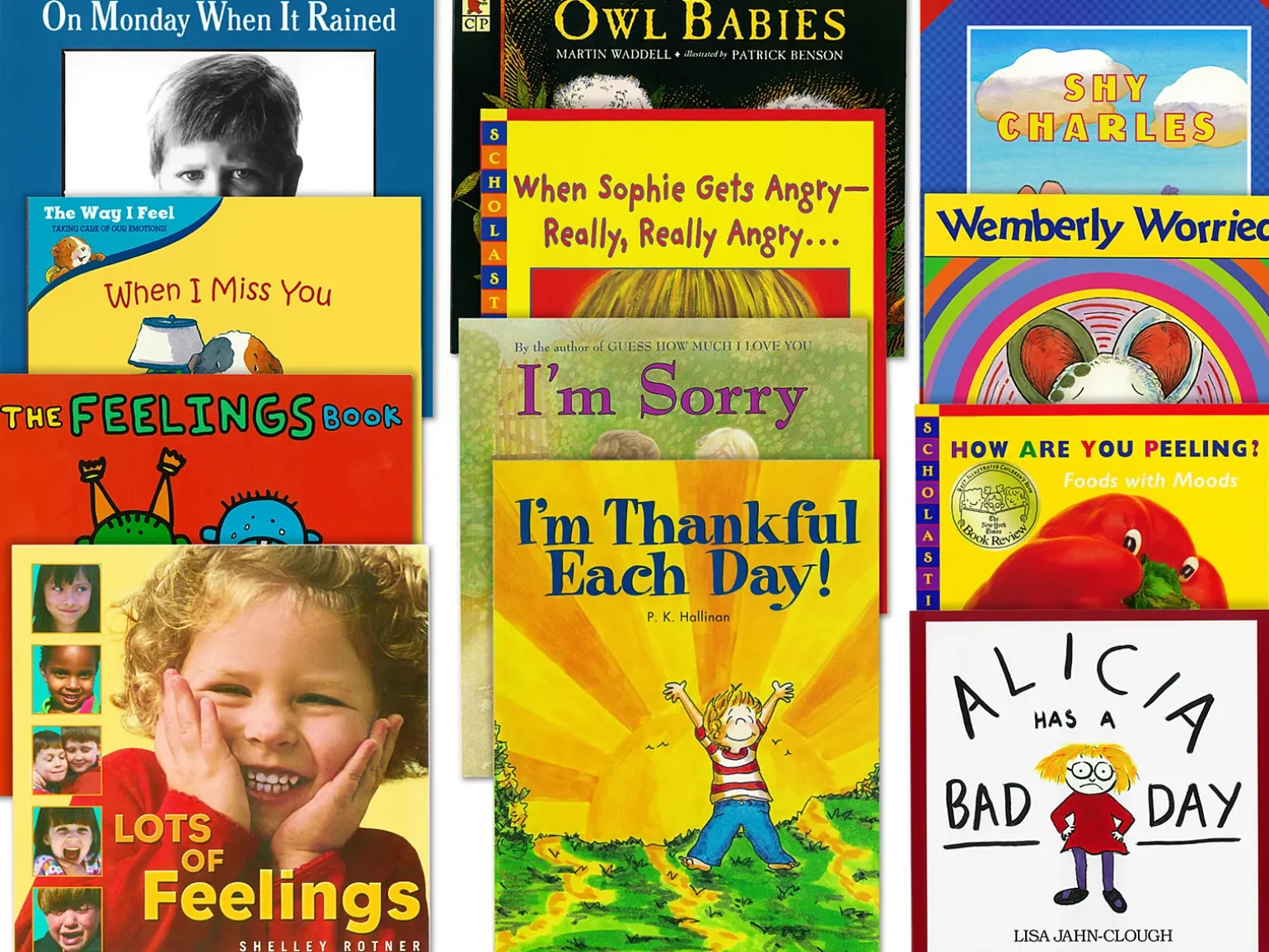 Feelings & Emotions Paperback Library