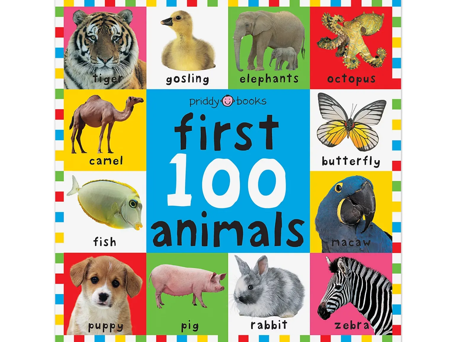 First 100 Animals Board Book