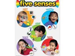 Five Senses Photo Reference Poster