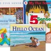 Five Senses Theme Book Library