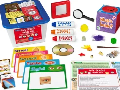 Five Senses Theme Box