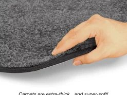 Flex-Space Comfy Rectangular Classroom Carpets
