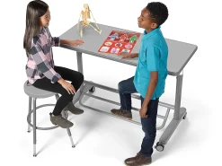 Flex-Space Mobile Standing Desk for Two - Gray