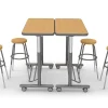Flex-Space Standing Desk Small-Group Zone