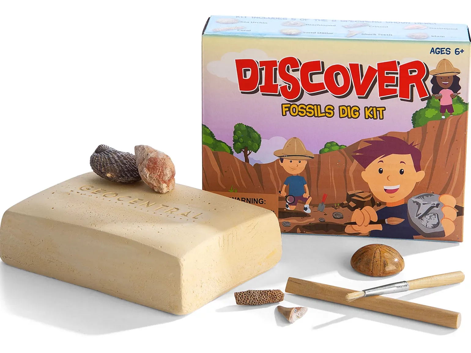 Fossil Excavation Kit