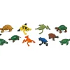 Frogs & Turtles TOOB®