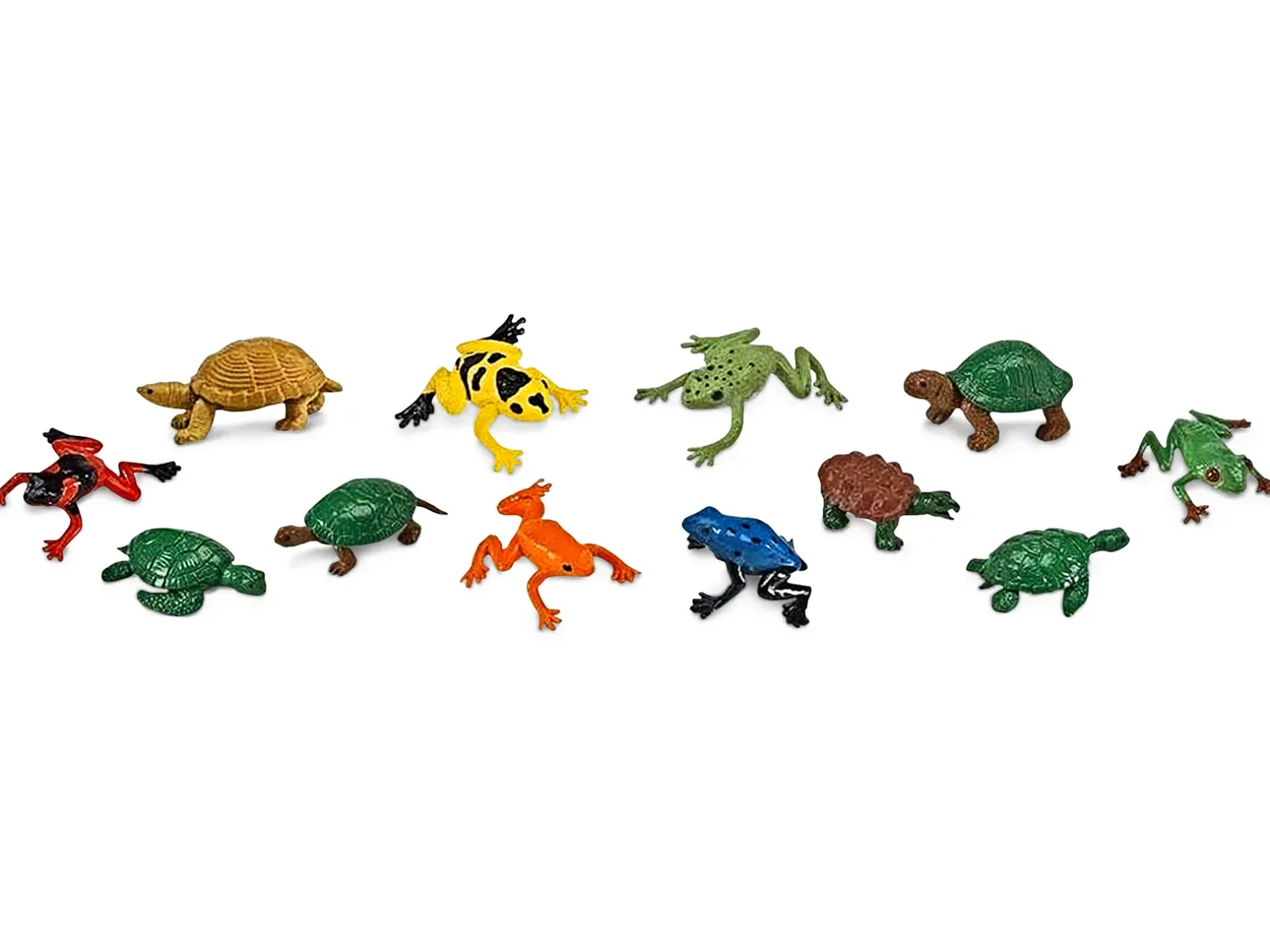 Frogs & Turtles TOOB®