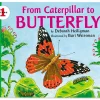 From Caterpillar to Butterfly Big Book