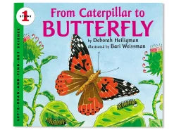 From Caterpillar to Butterfly Big Book