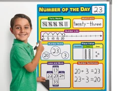 Giant Magnetic Number of the Day Chart