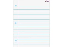 Giant Write & Wipe Notebook Pages