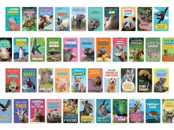 Go Wild Animal Encouragement Cards