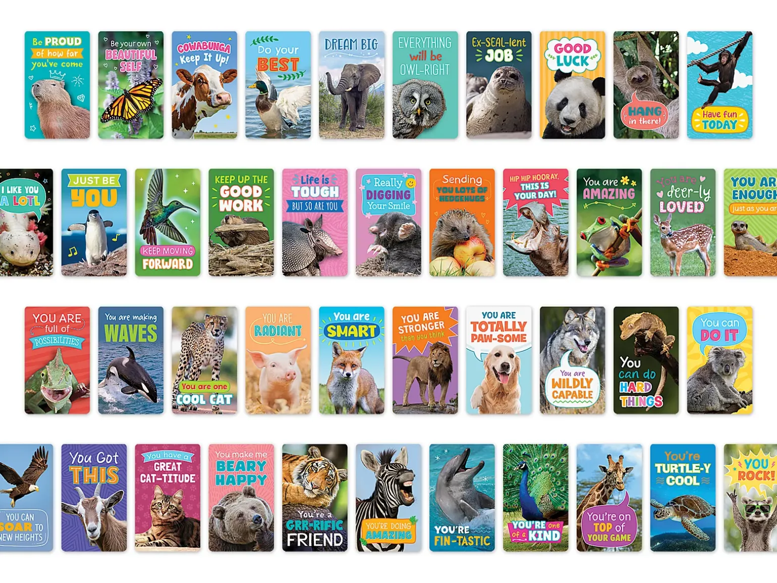 Go Wild Animal Encouragement Cards
