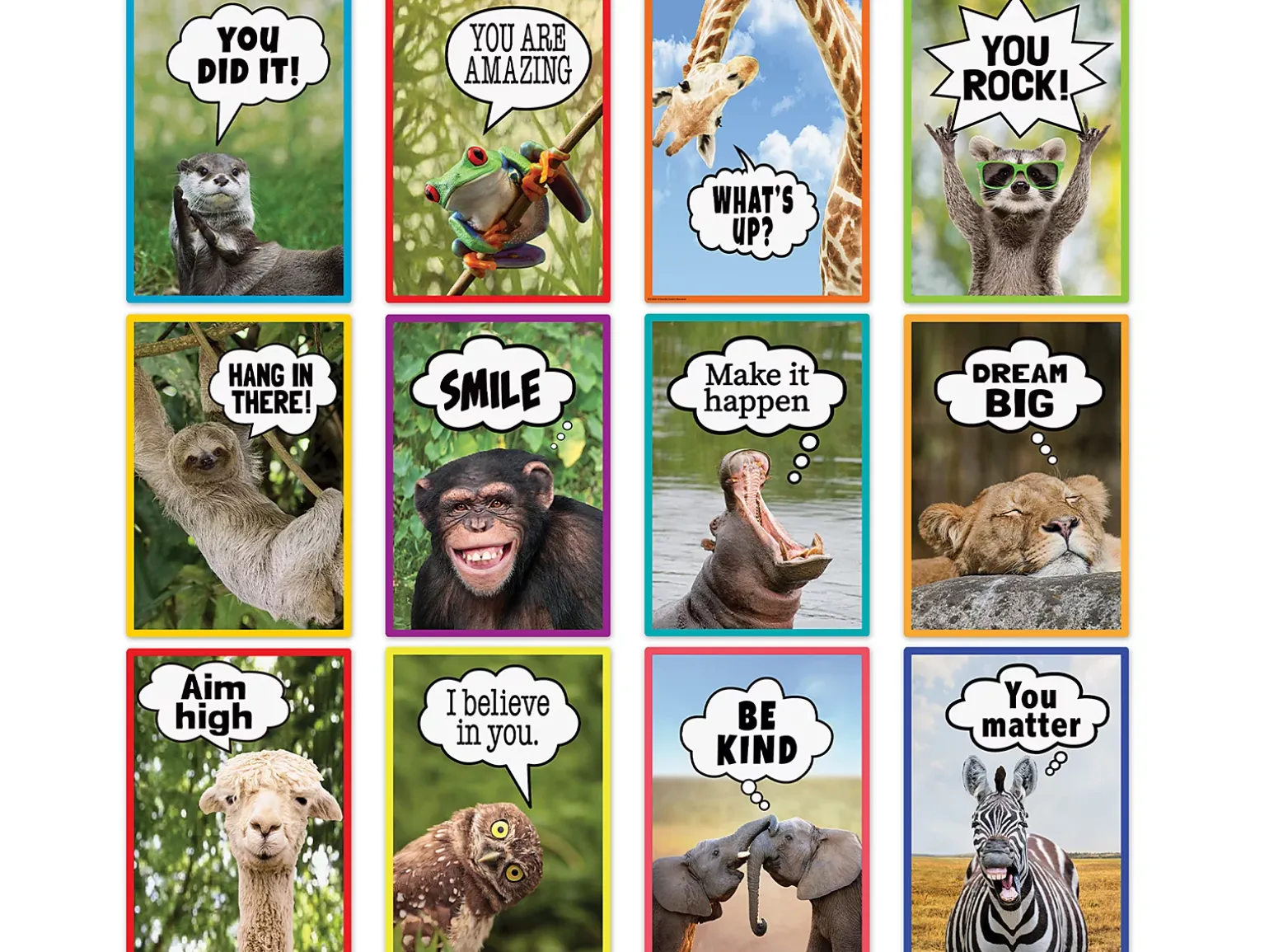 Go Wild Animals Motivational Small Poster Pack