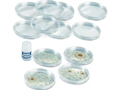 Growing Bacteria Classroom Kit