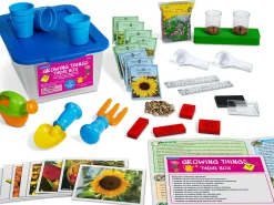 Growing Things Theme Box