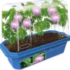 Grow-Your-Own Moving Plant
