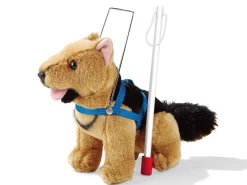 Guide Dog, Harness and Cane