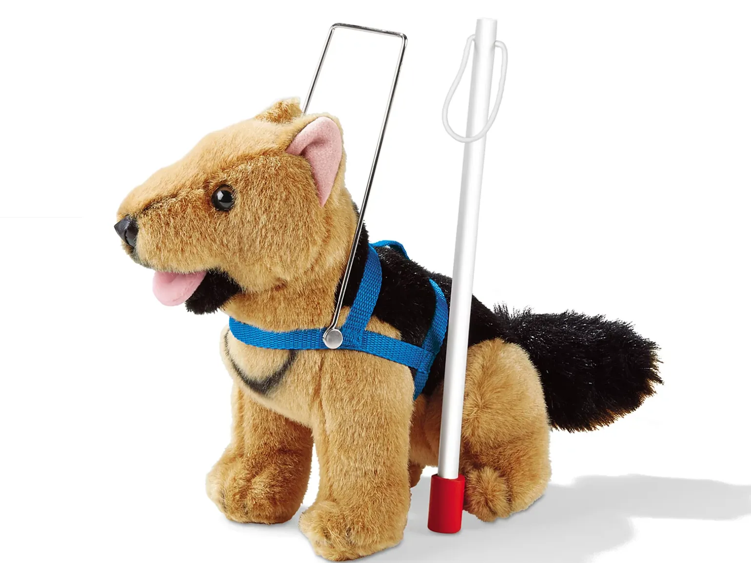 Guide Dog, Harness and Cane