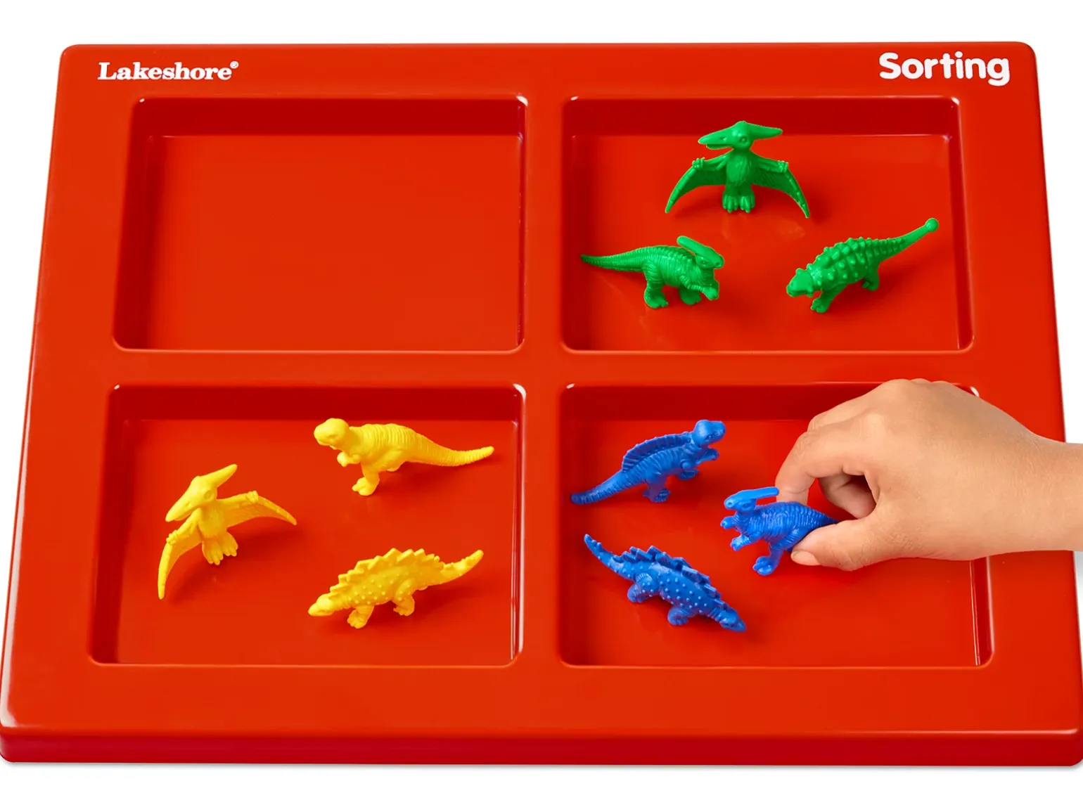 Hands-On Sorting Tray
