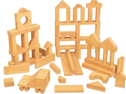 Hardwood Blocks - 100-Piece Set