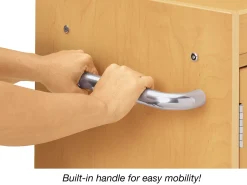 Heavy-Duty Mobile Teaching Cabinet