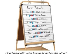 Heavy-Duty Mobile Teaching Easel