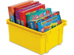 Hold-It-All Storage Bin