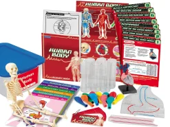 Human Body Activity Tub - Gr. 4-6