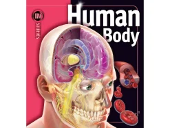 Human Body Insiders Series Hardcover Book
