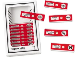Insects Prepared Slide Kit