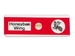 Insects Prepared Slide Kit