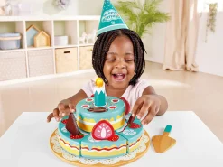 Interactive Birthday Cake