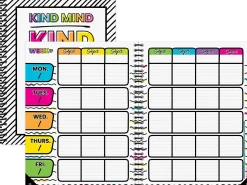 Kind Vibes Lesson Plan & Record Book