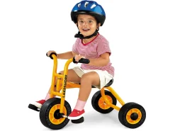 Lakeshore First Trike