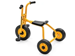 Lakeshore School Trike