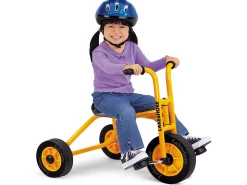 Lakeshore School Trike