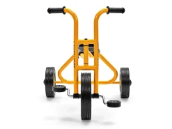 Lakeshore School Trike