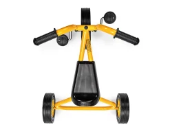 Lakeshore School Trike