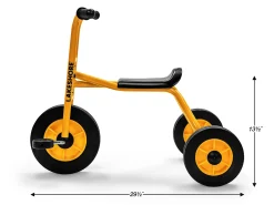 Lakeshore School Trike