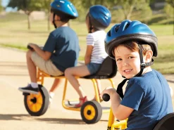 Lakeshore Taxi-Trike