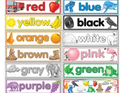 Learning Colors Bulletin Board Set