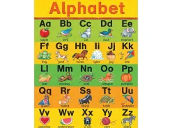 Learn the Alphabet Poster