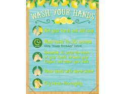 Lemon Zest Wash Your Hands Reference Poster