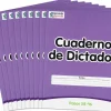 Levels 58-96 Spanish Dictation Books – Set of 10