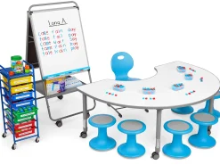 Literacy Skills Instruction Zone
