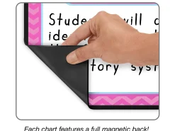 Magnetic Write & Wipe Organization Charts