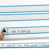 Magnetic Write & Wipe Sentence Strips